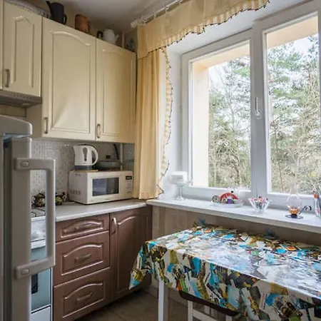 On Lynkova 67 Apartment